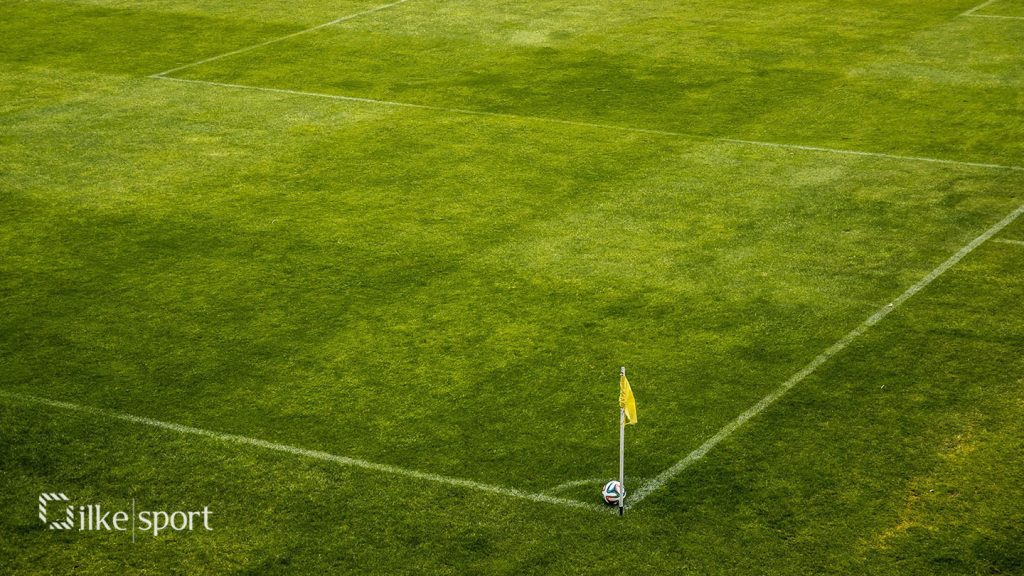 fifa standarts in artificial grass