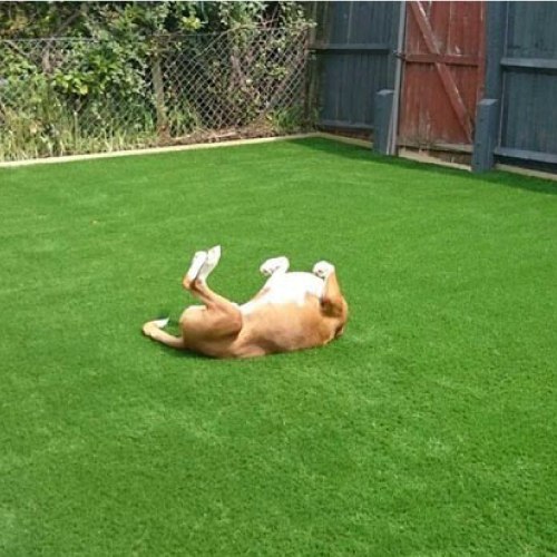 Is Artificial Grass Safe For Pets 2