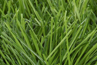 Artificial Football Field Turf