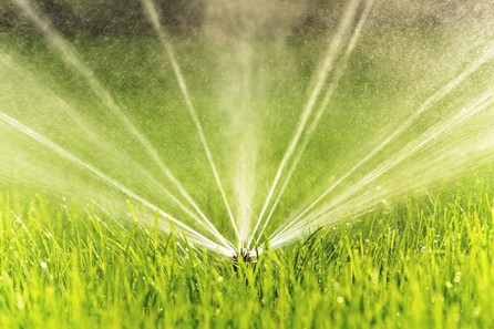 Artificial Grass water
