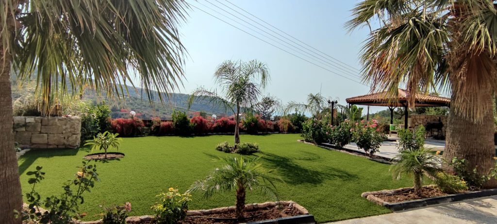 Landscape Artificial grass