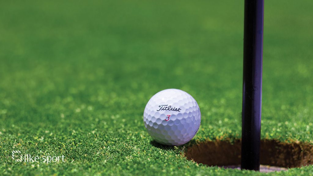 real grass vs artificial grass