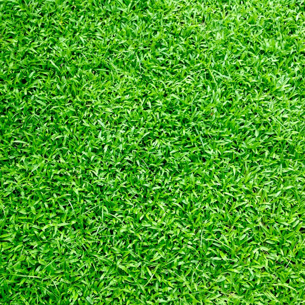 how to buy best artificial grass
