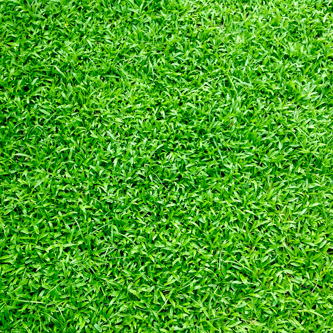how to buy best artificial grass