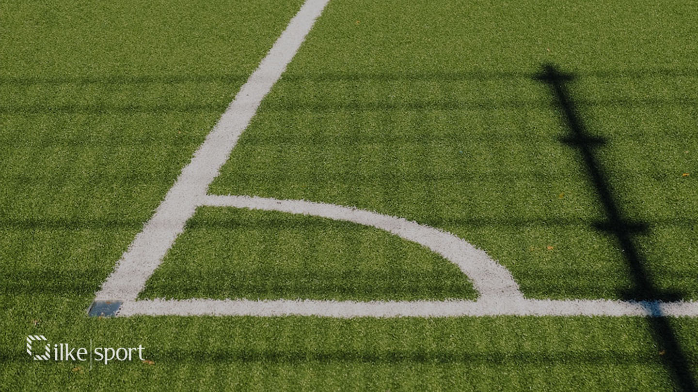 cost effective and high performance artificial grass