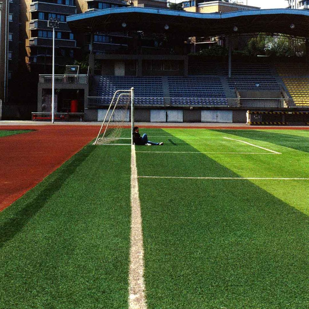 artificial grass cyprus