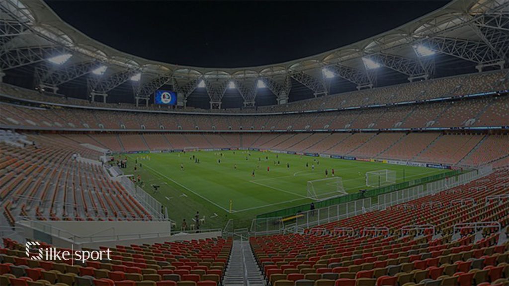 العشب الاصطناعي ميك