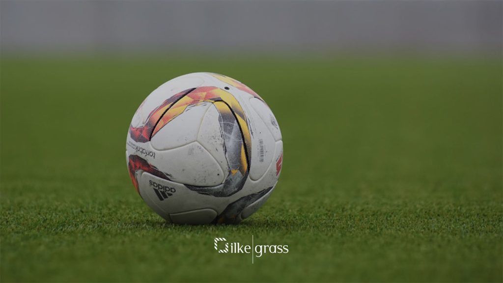 artificial grass from senegal