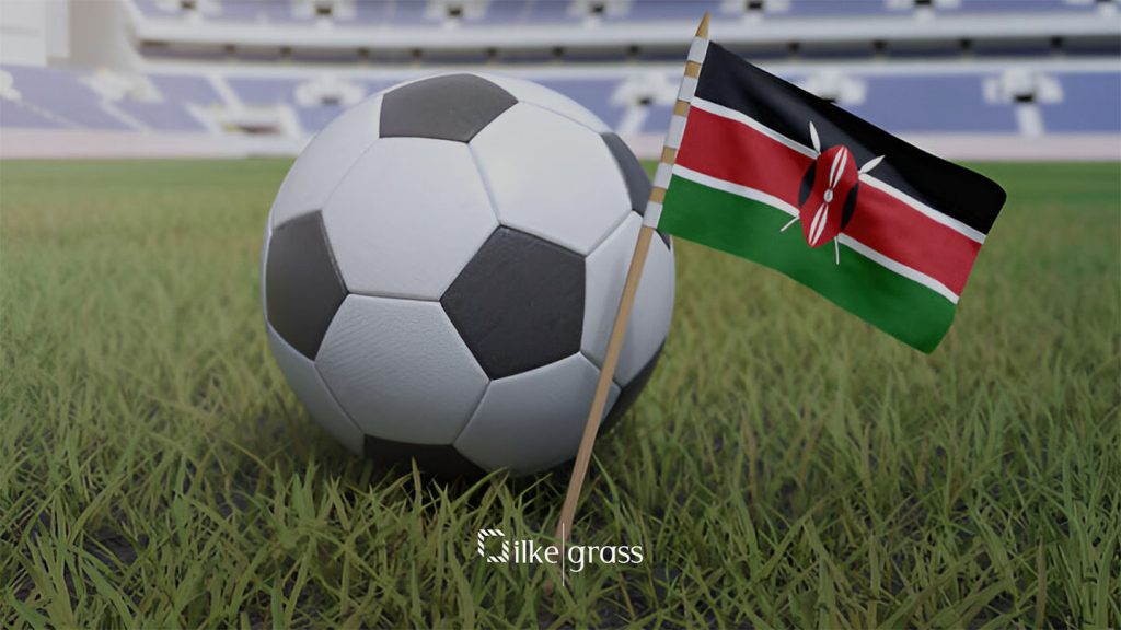artificial grass supplier from kenya
