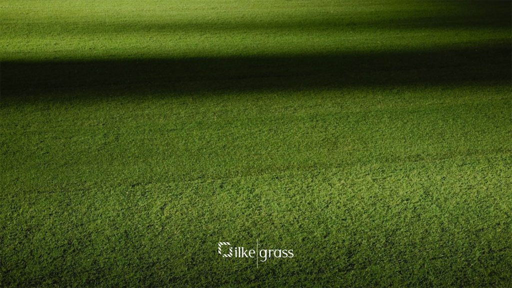 artificial grass egypt