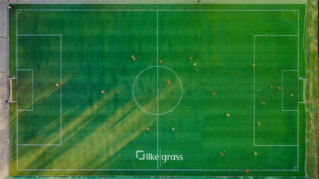 artificial grass suppliers senegal