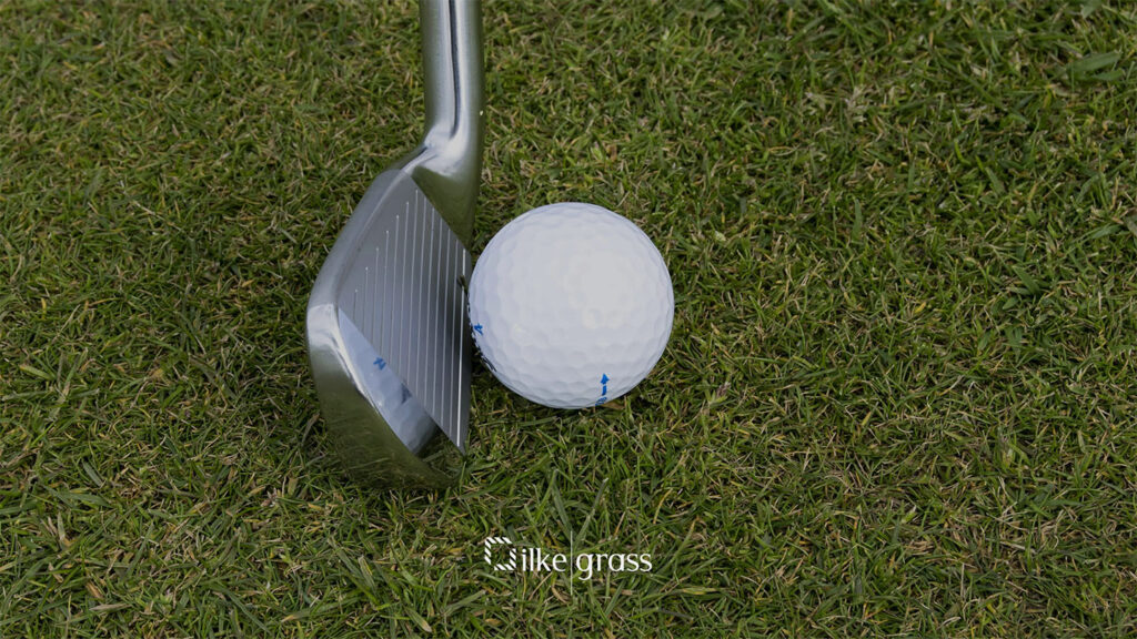 suni cim golf
