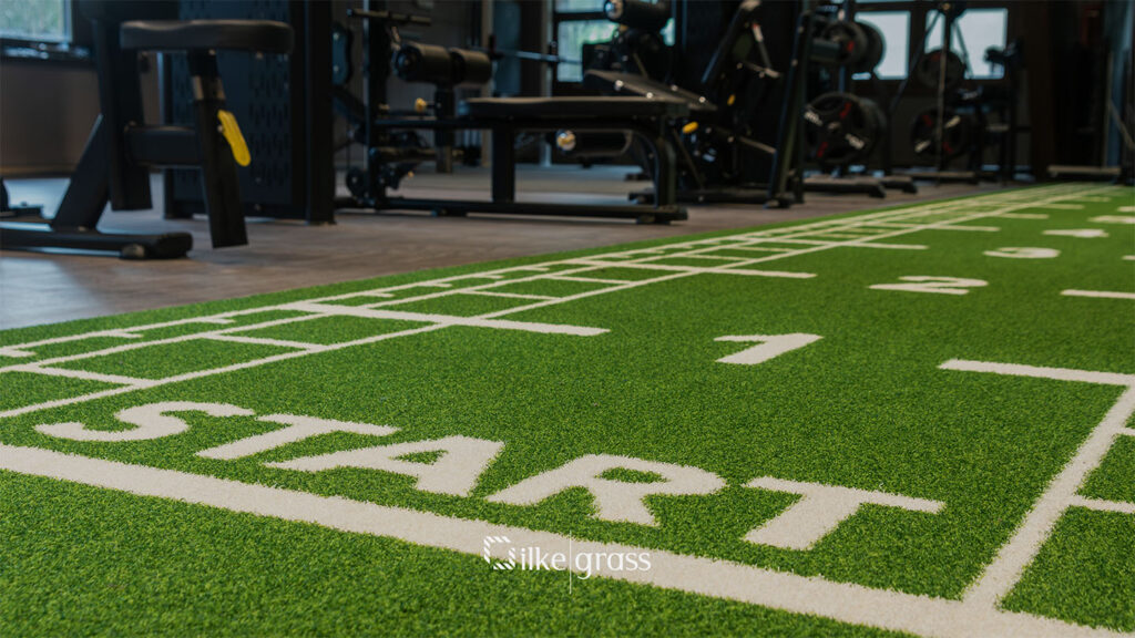 artificial grass gym