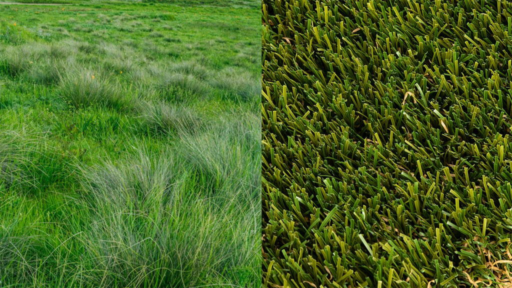 Difference Between Turf and Artificial Grass